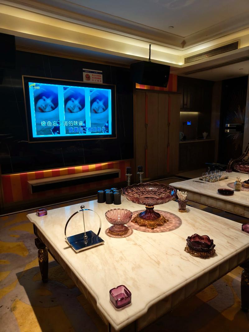 石家庄商务ktv有没有？-无极县ktv预定